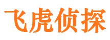 龙海侦探公司